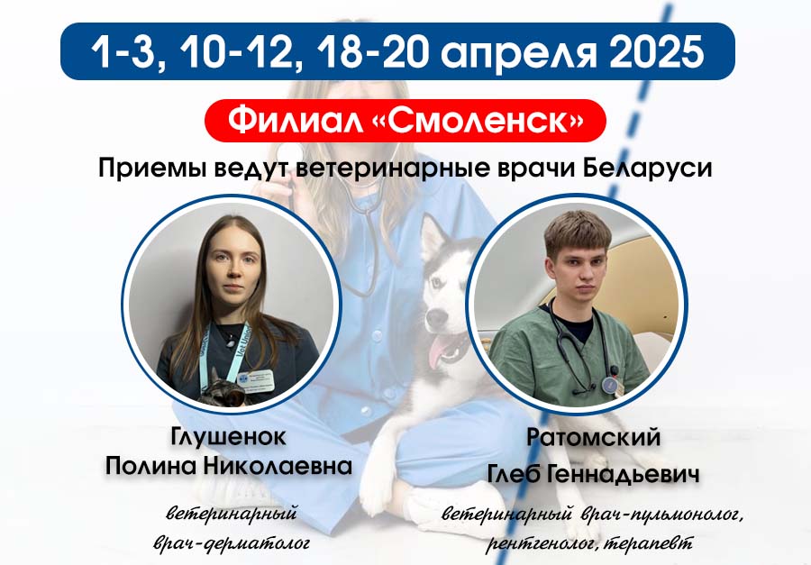 vrachi-belarusi-1-3-aprelya Прием ведут врачи Беларуси