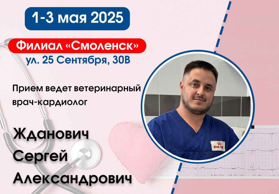 priem-vedet-kardiolog Приемы ведет ветеринарный врач-кардиолог