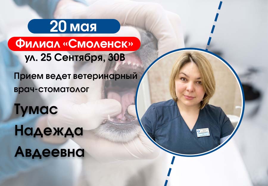 priem-vedet-veterinarnyy-vrach-tumas-nadezhda-avdeevna-20-mai Прием ведет ветеринарный врач-стоматолог