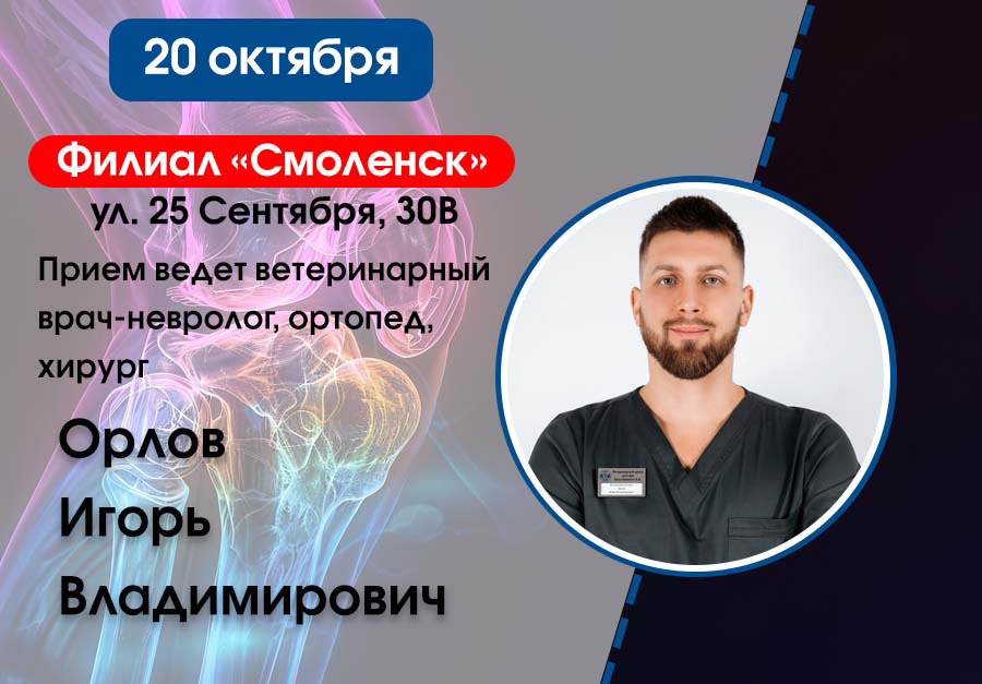 orlov-v-smolenske-oktyabr Прием ведет ветеринарный врач-невролог, ортопед, хирург