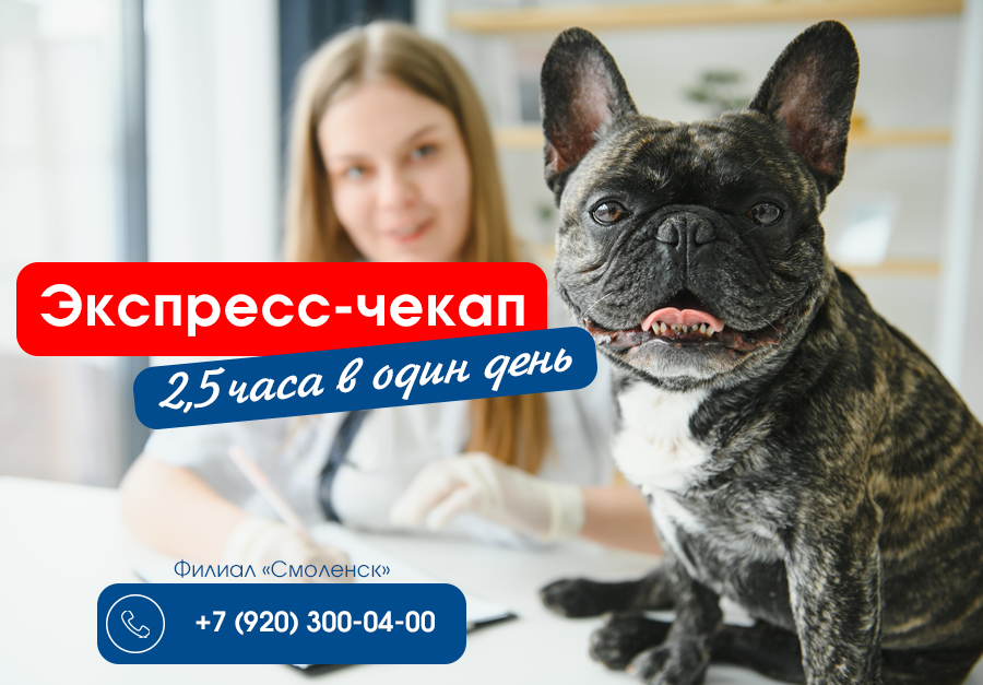 ekspress-chekap-2 Экспресс-чекап за 2,5 часа!