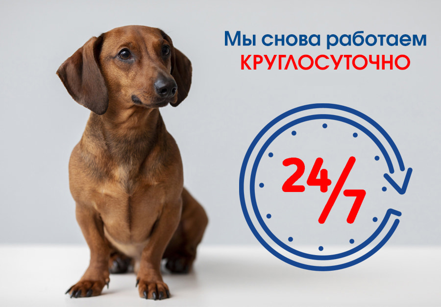 kruglosutochno-smolensk-1 Филиал «Смоленск» возобновляет работу в круглосуточном режиме!